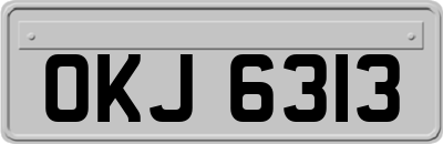 OKJ6313
