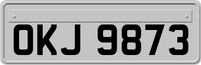 OKJ9873
