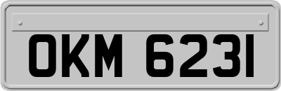 OKM6231