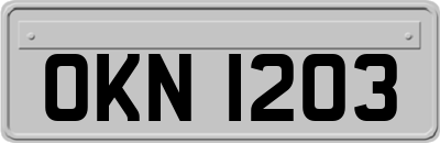 OKN1203
