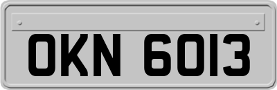 OKN6013