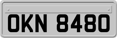 OKN8480