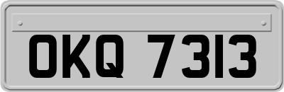 OKQ7313