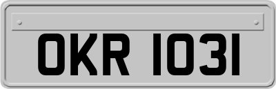 OKR1031
