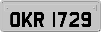 OKR1729