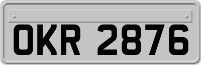 OKR2876