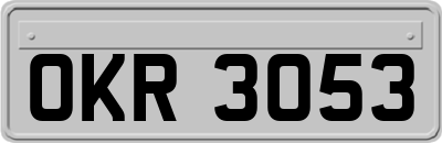 OKR3053