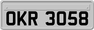 OKR3058