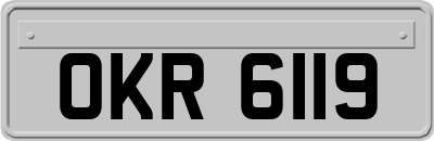 OKR6119