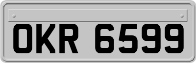 OKR6599