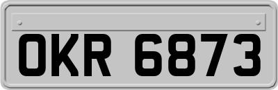 OKR6873