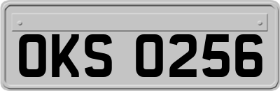 OKS0256