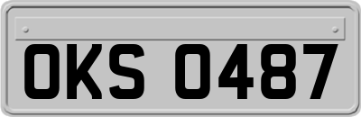 OKS0487
