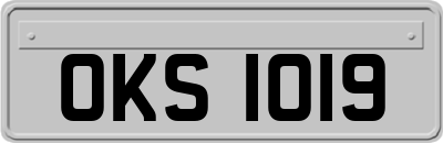 OKS1019