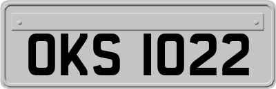 OKS1022