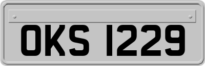 OKS1229