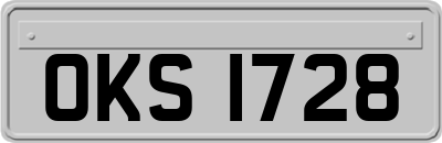 OKS1728