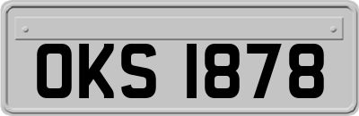 OKS1878