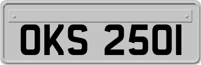 OKS2501