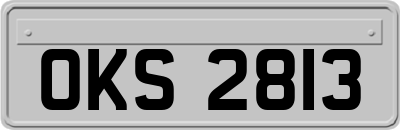 OKS2813