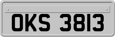 OKS3813