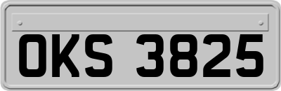 OKS3825