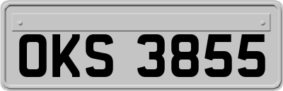 OKS3855