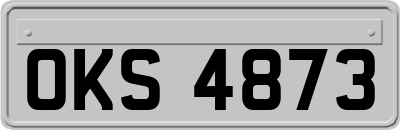 OKS4873