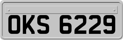OKS6229