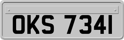OKS7341