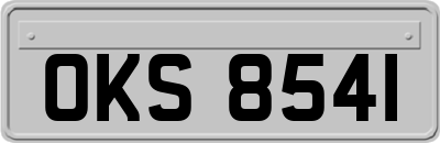 OKS8541