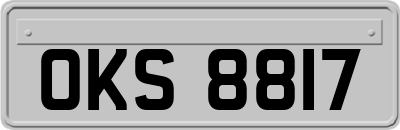 OKS8817