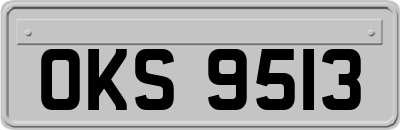 OKS9513