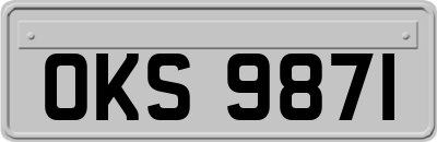 OKS9871