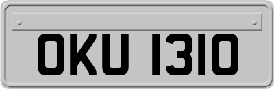 OKU1310