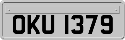 OKU1379
