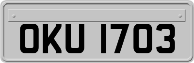 OKU1703