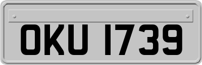 OKU1739