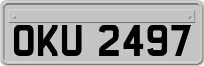 OKU2497