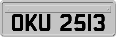 OKU2513