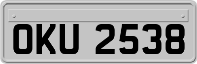 OKU2538
