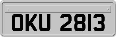 OKU2813