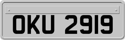 OKU2919