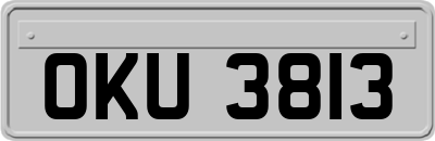 OKU3813