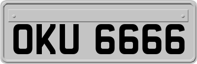 OKU6666