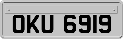 OKU6919