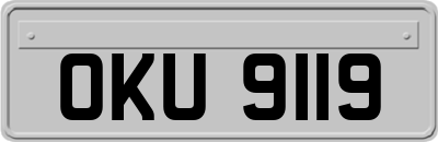 OKU9119