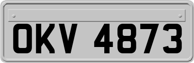 OKV4873
