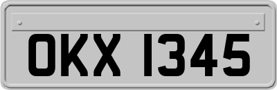 OKX1345
