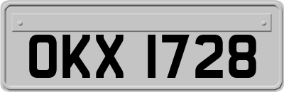 OKX1728